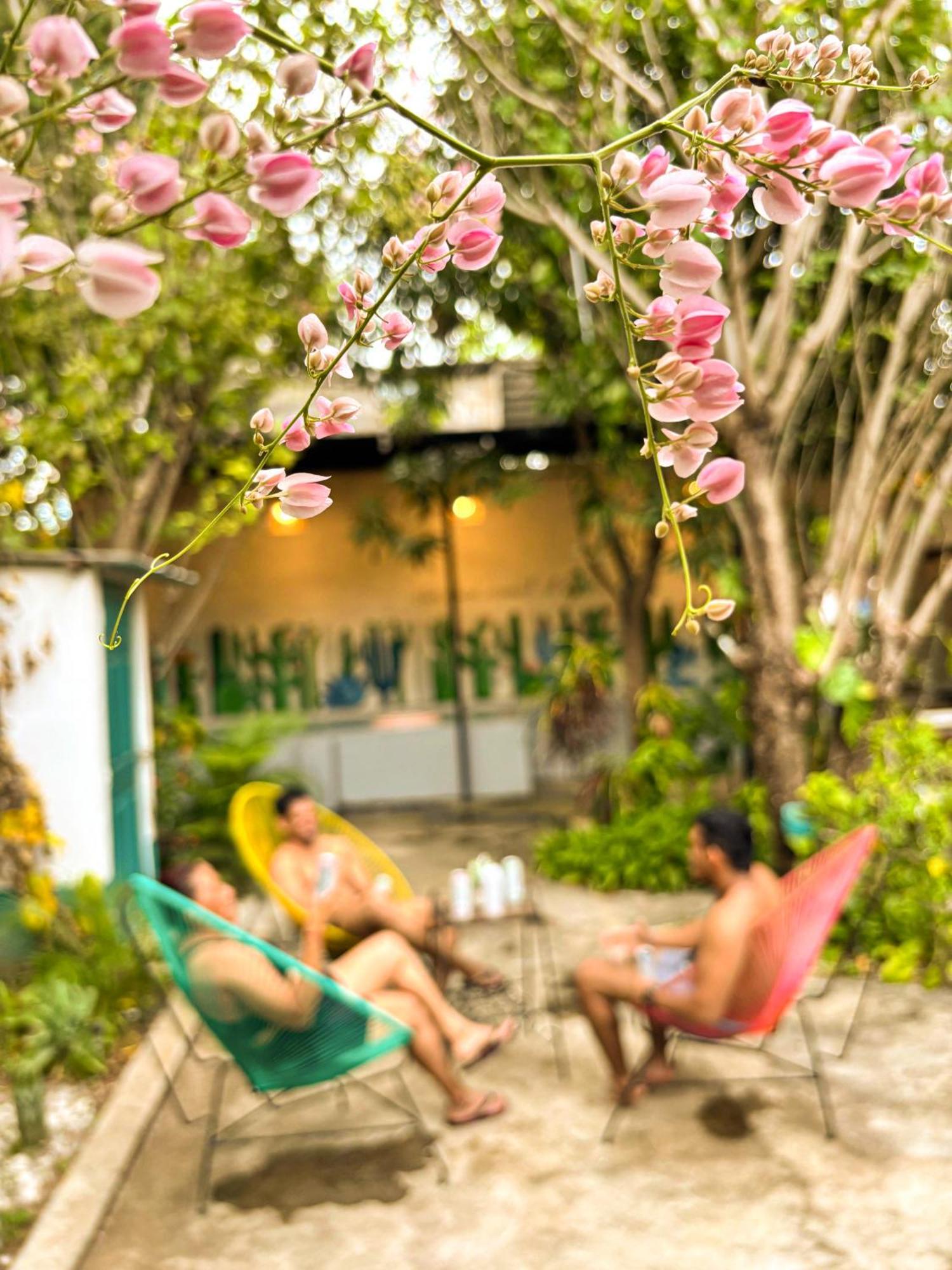 Hostal El Rio Leon Exterior photo